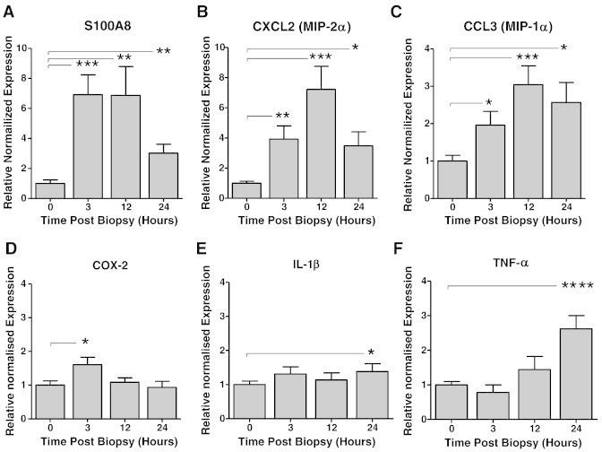 Figure 3