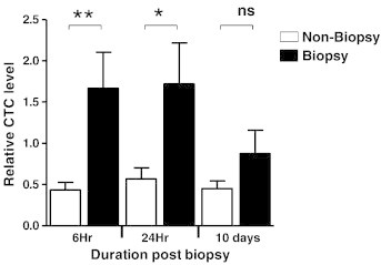 Figure 5