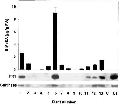 Figure 6.