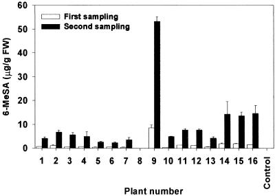 Figure 5.