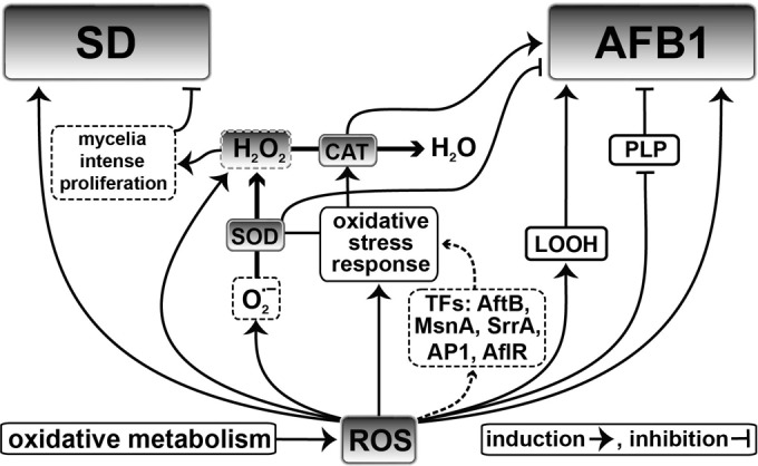 FIG 3