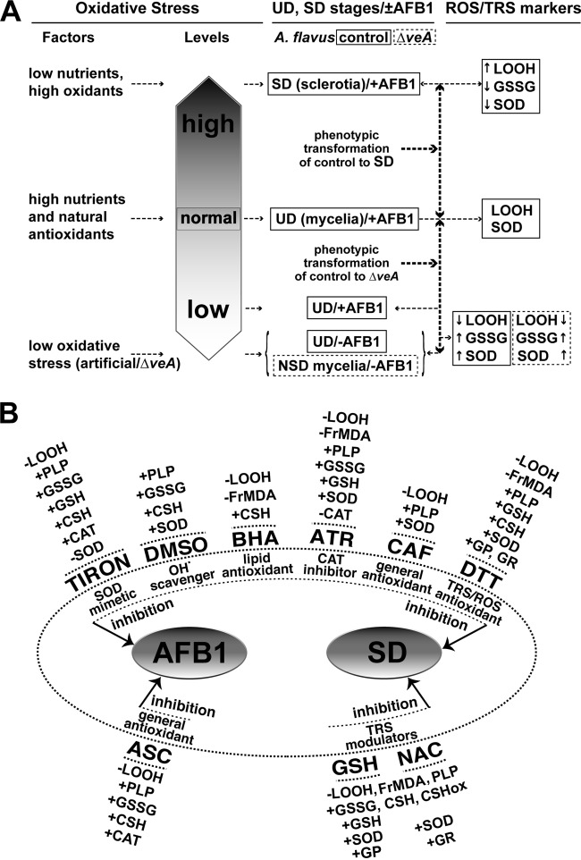 FIG 2