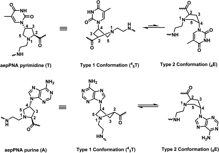 Fig. 21