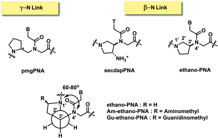 Fig. 24