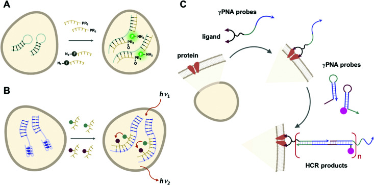 Fig. 46