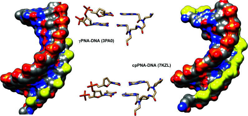 Fig. 31