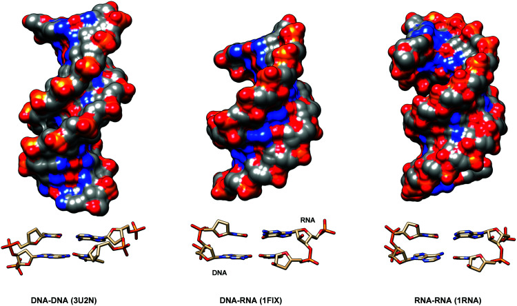 Fig. 29