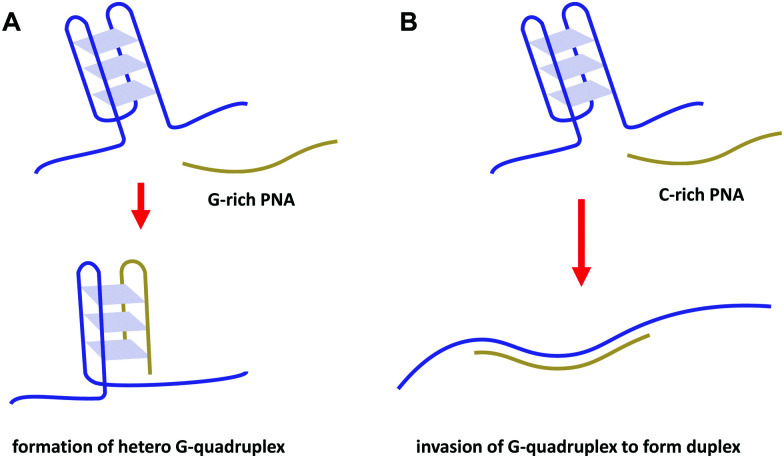 Fig. 37