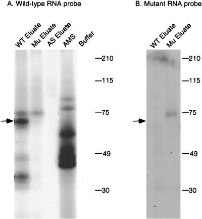 FIG. 4