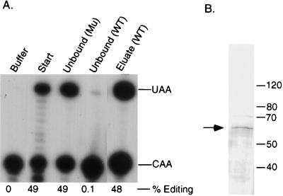 FIG. 8