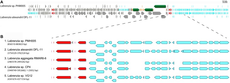 FIGURE 3