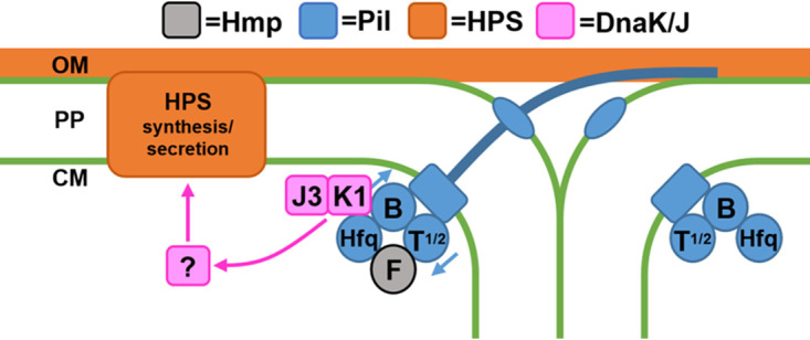 FIG 5