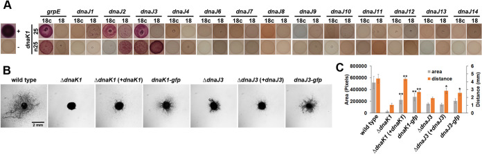 FIG 1