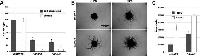 FIG 3