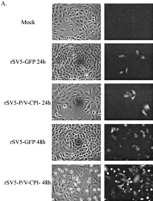 FIG. 7.