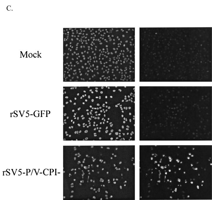 FIG. 8.