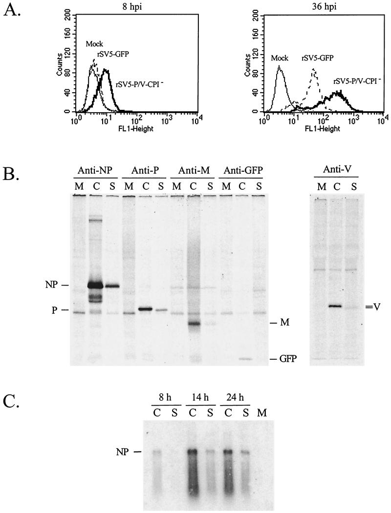 FIG. 2.