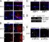 FIGURE 14.