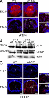 FIGURE 11.