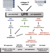 FIGURE 15.