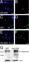 FIGURE 12.