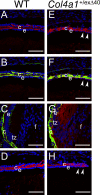 FIGURE 13.