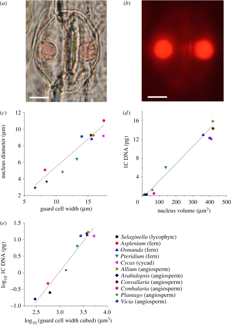 Figure 2.