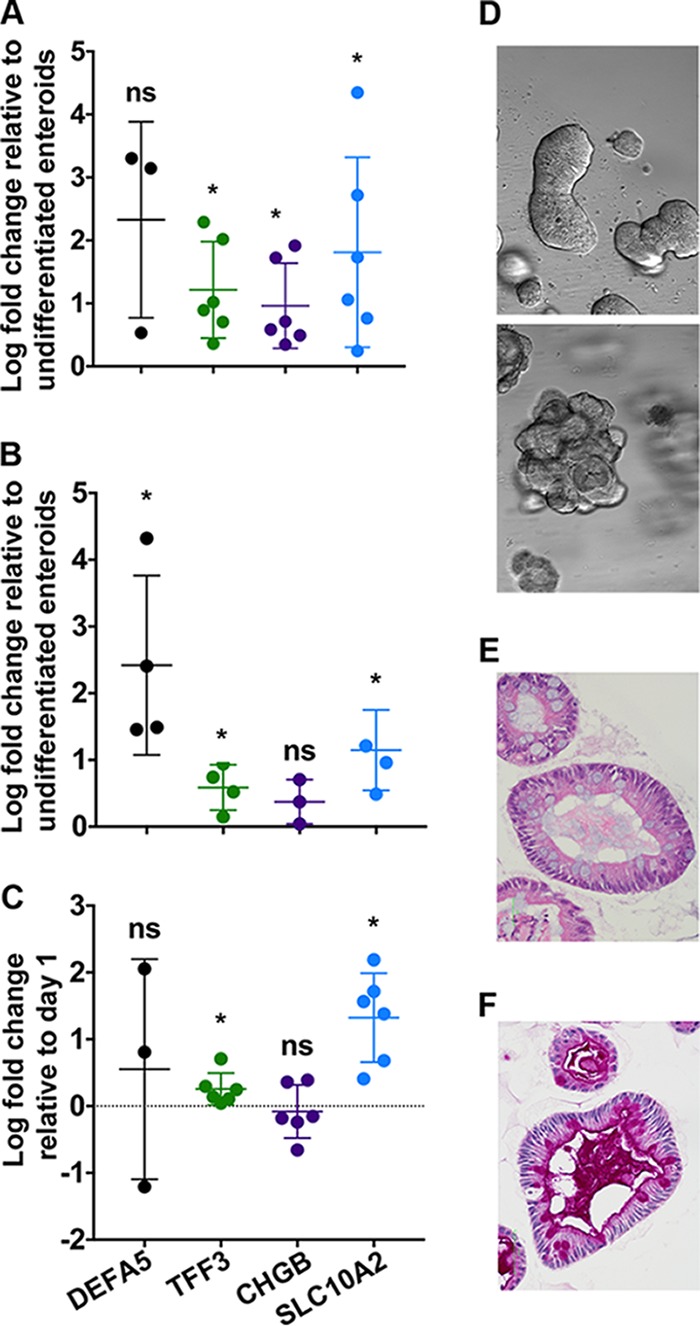 FIG 1