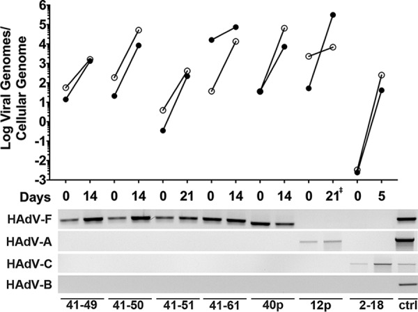 FIG 5