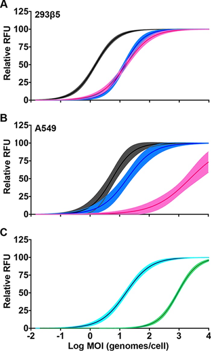 FIG 2