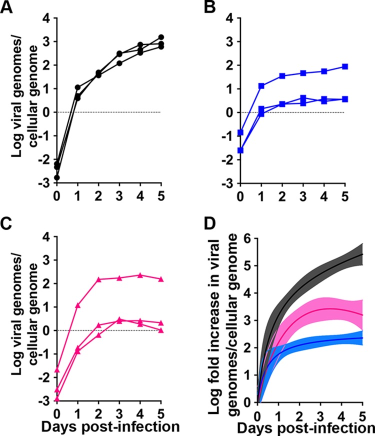 FIG 3