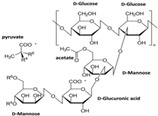 graphic file with name polymers-14-03268-i006.jpg