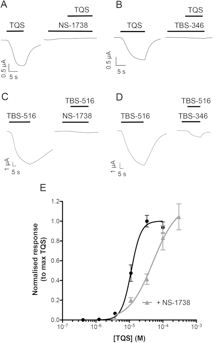 Fig. 11