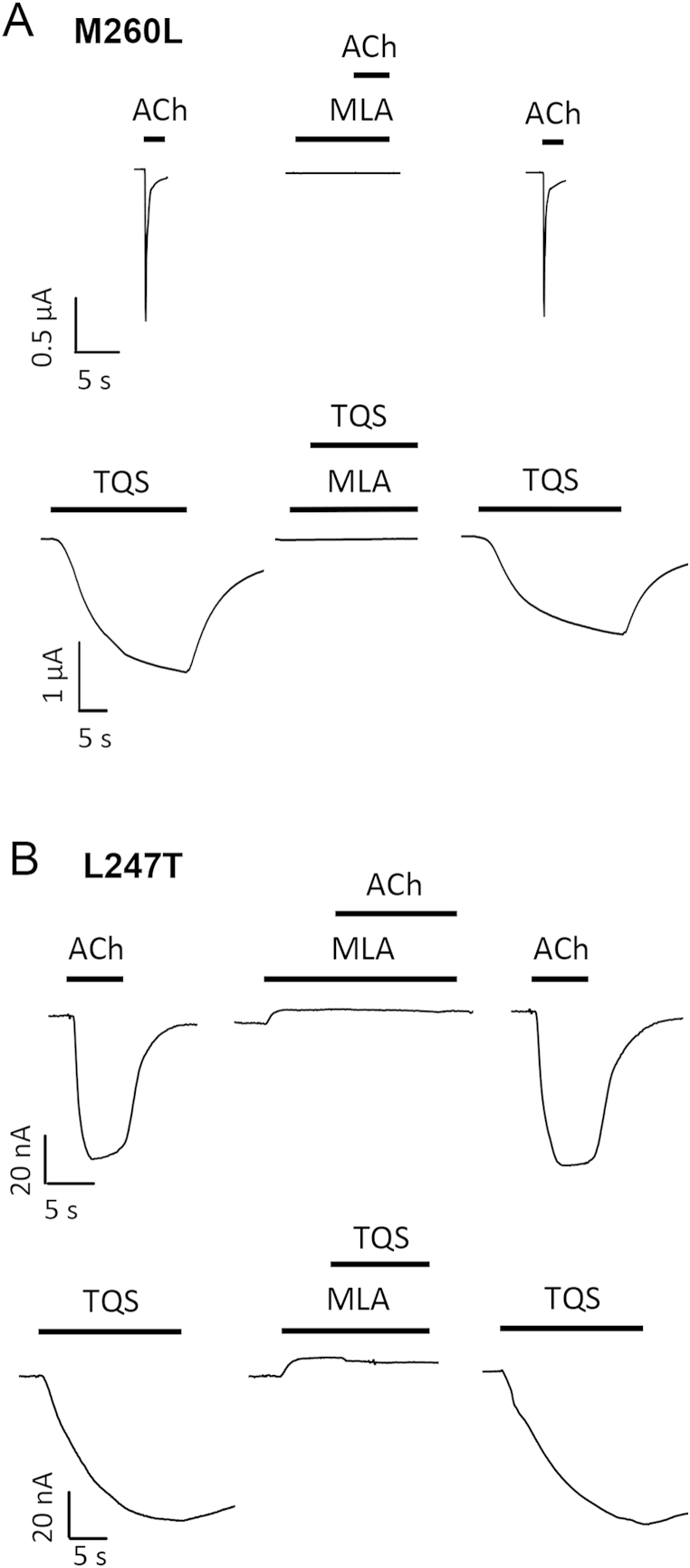 Fig. 8