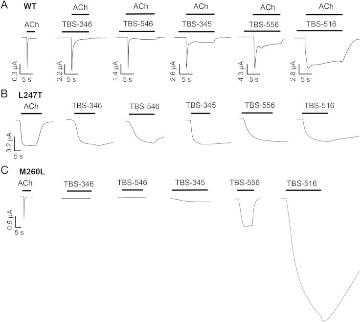 Fig. 7