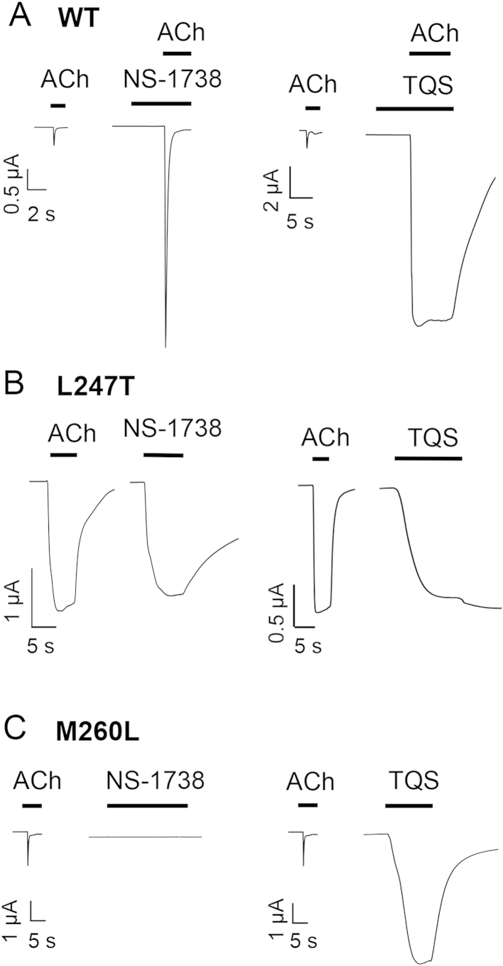 Fig. 6