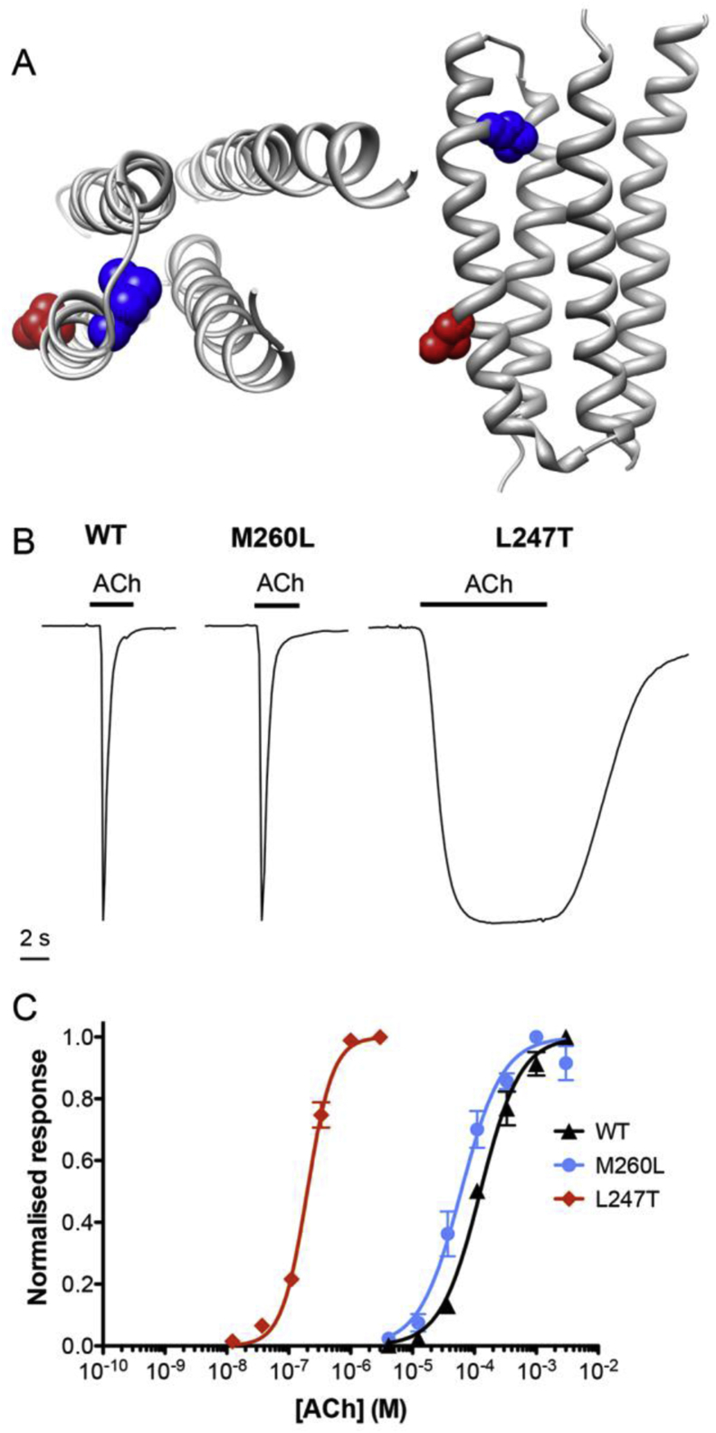 Fig. 5