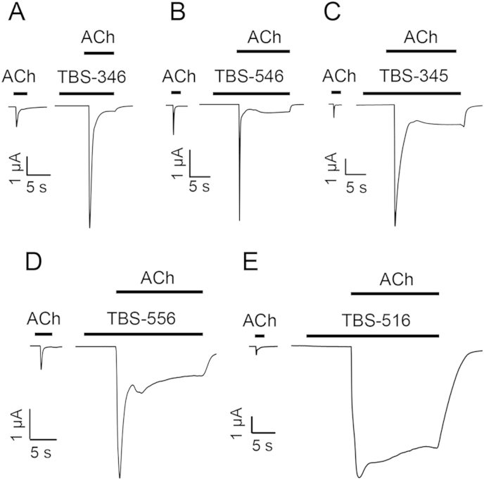 Fig. 2