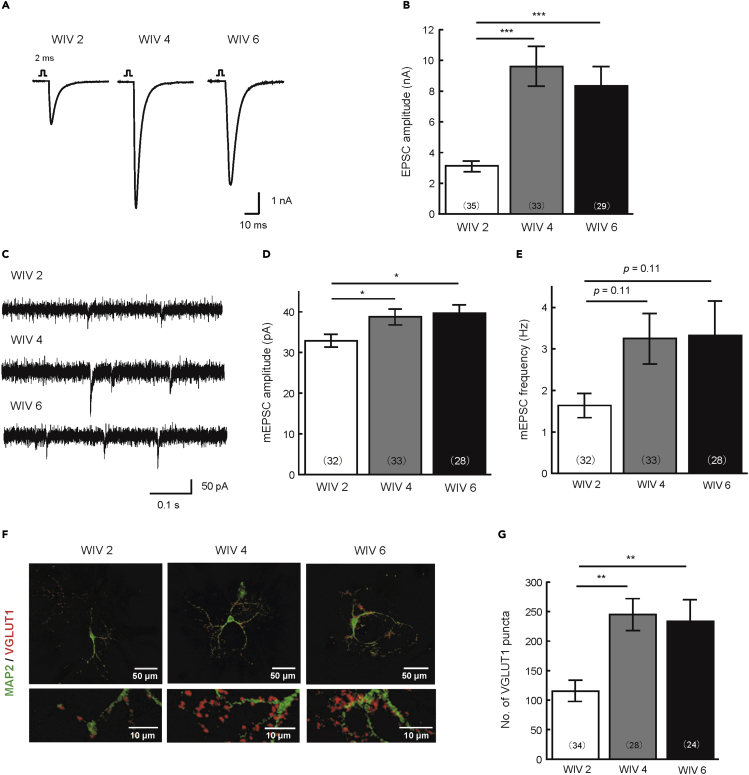 Figure 4