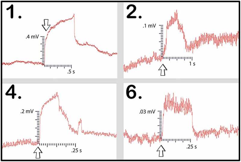 Figure 11.