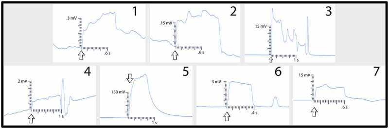 Figure 12.