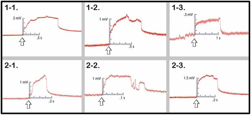 Figure 9.