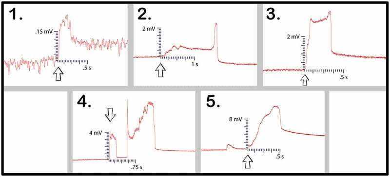 Figure 10.