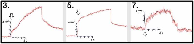 Figure 14.