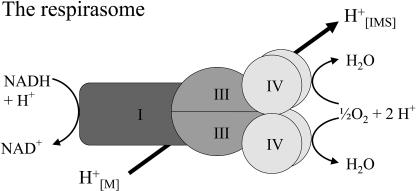 Figure 8.