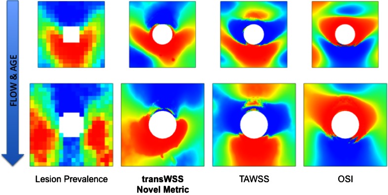 Figure 3