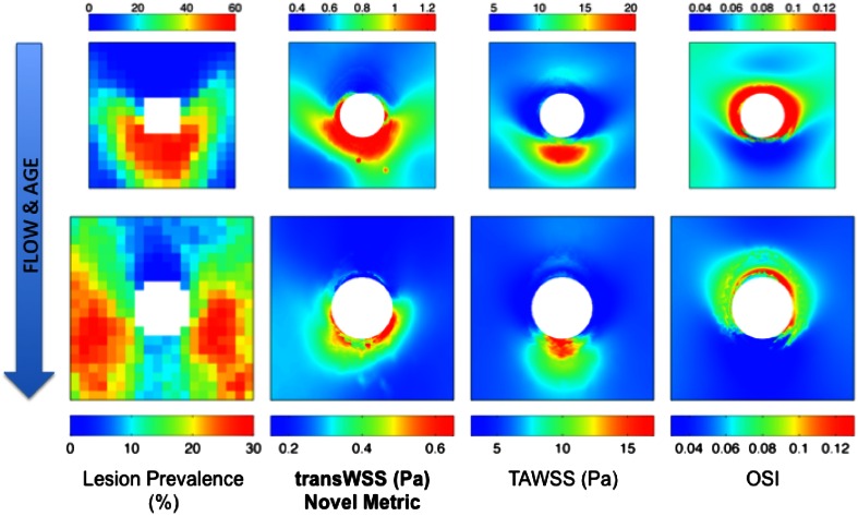 Figure 2