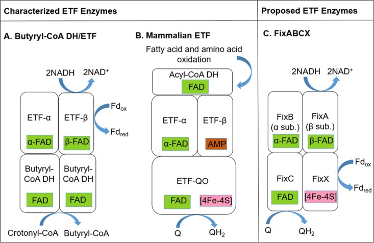 FIG 1