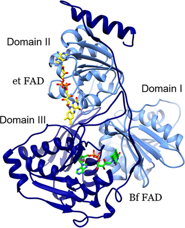 FIG 2