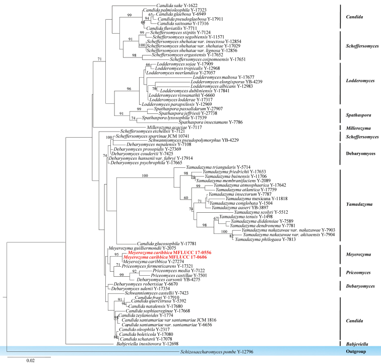 Figure 19.